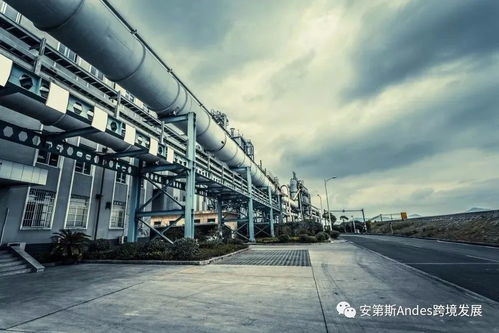 跨境電商紅利頻出，實(shí)體制造企業(yè)久旺化工能否搭上出海大船